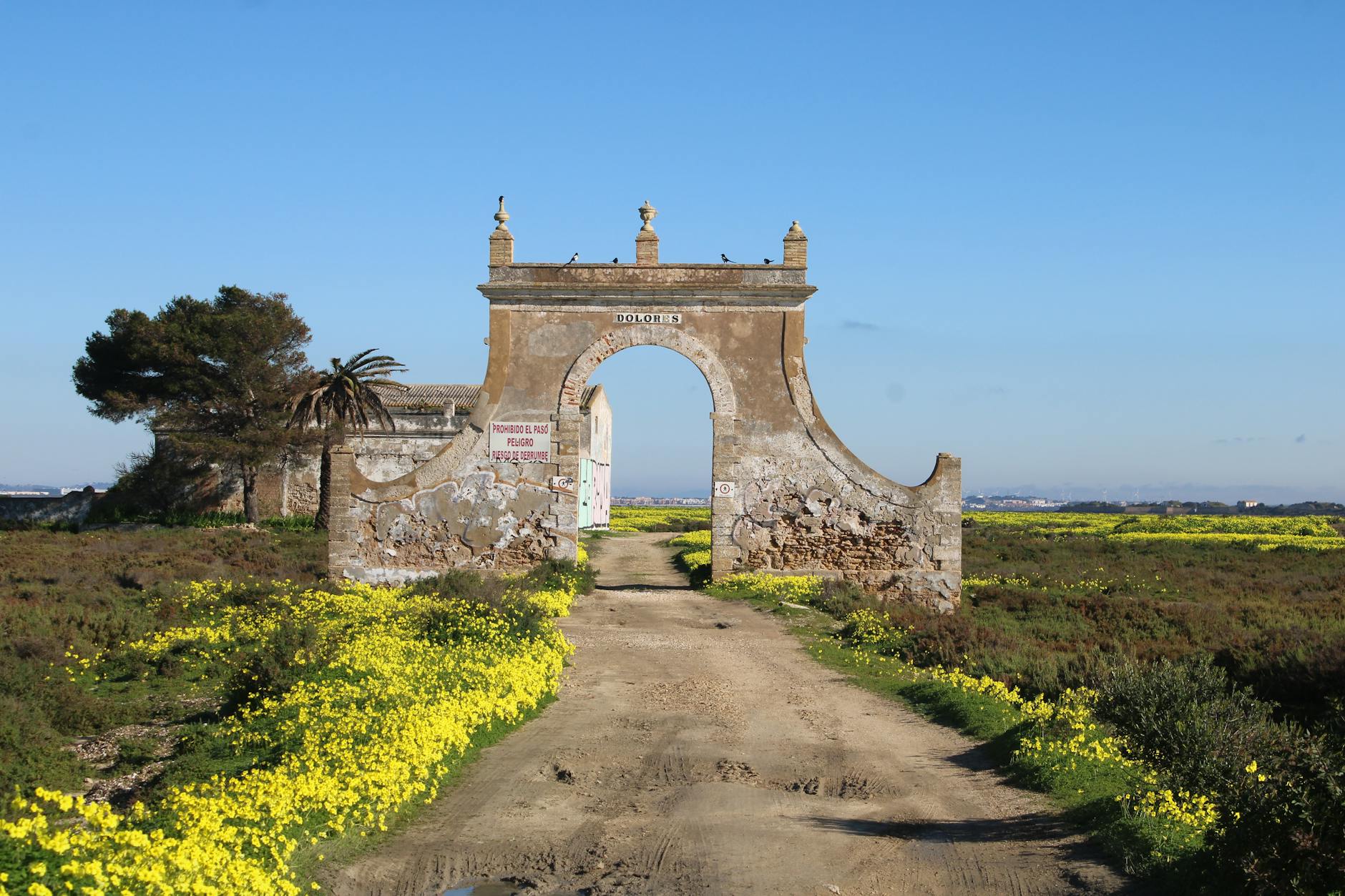 salina dolores in san fernando spain